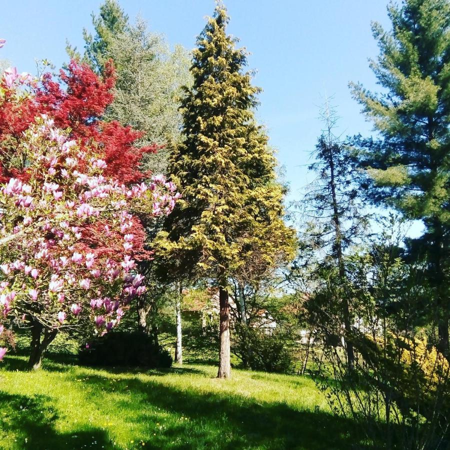 Villa Takovo - Odmor U Selu Gornji Milanovac Exterior foto